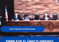 Ante Tribunal Constitucional:SIPPE fue el único gremio educacional en exponer contra la Megarreforma